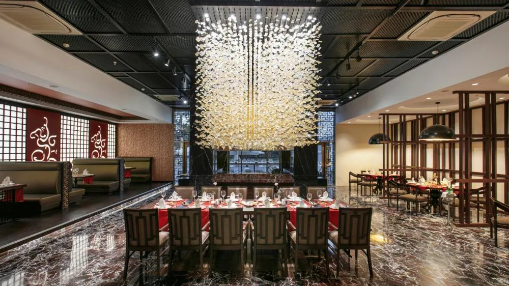 Restoran ve bar – 16